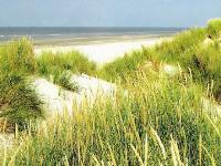 Traum-Strand von Julianadorp