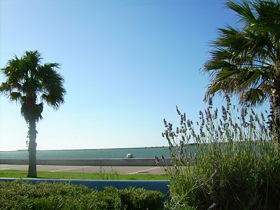 Blick aus dem Haus/Wintergarten/von der Terrasse